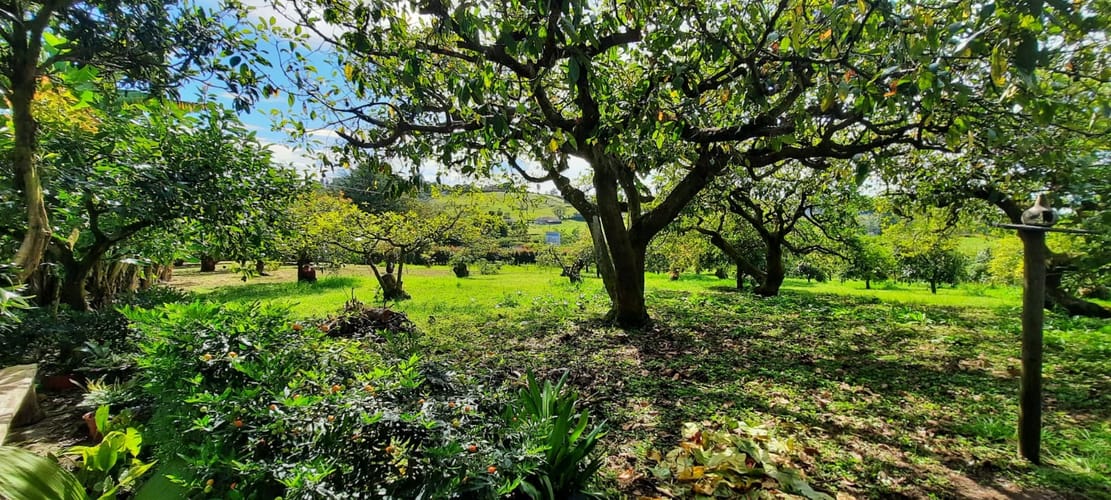 Lote en venta en El Porvenir, El Carmen de Viboral, 30400 m² · foto 14 de 24