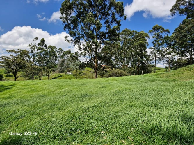 Lote en venta en Las Garzonas, El Carmen de Viboral, 75800 m² · foto 13 de 24