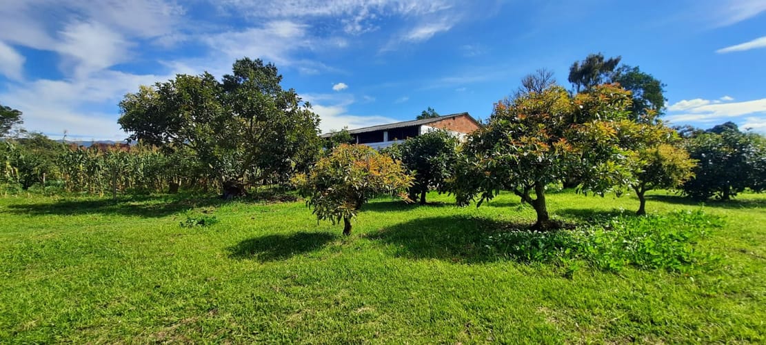 Lote en venta en El Porvenir, El Carmen de Viboral, 30400 m² · foto 15 de 24