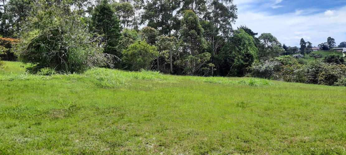 Lote en venta en El Porvenir, El Carmen de Viboral, 30400 m² · foto 16 de 24