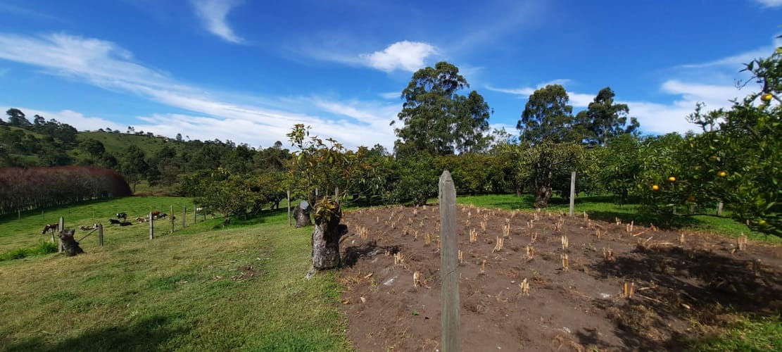 Lote en venta en El Porvenir, El Carmen de Viboral, 30400 m² · foto 17 de 24