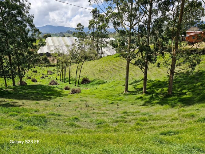 Lote en venta en Las Garzonas, El Carmen de Viboral, 75800 m² · foto 15 de 24