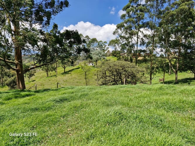 Lote en venta en Las Garzonas, El Carmen de Viboral, 75800 m² · foto 16 de 24