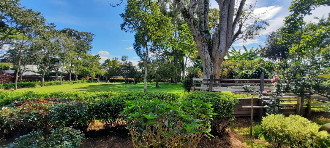 Lote en venta en El Porvenir, El Carmen de Viboral, 30400 m² · foto 20 de 24