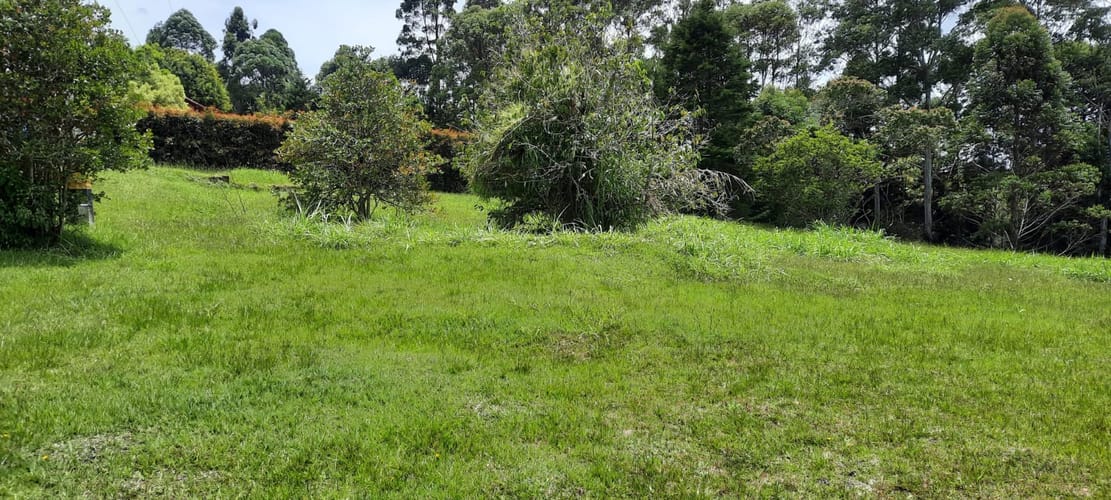 Lote en venta en El Porvenir, El Carmen de Viboral, 30400 m² · foto 21 de 24