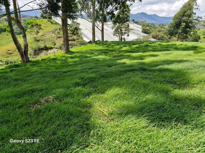 Lote en venta en Las Garzonas, El Carmen de Viboral, 75800 m² · foto 18 de 24