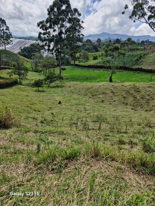 Lote en venta en Las Garzonas, El Carmen de Viboral, 75800 m² · foto 19 de 24