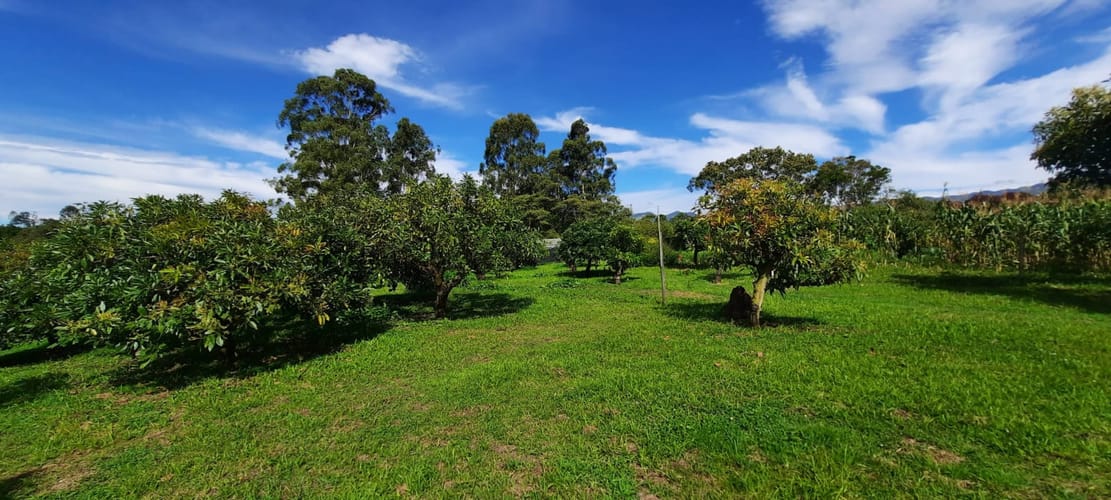 Lote en venta en El Porvenir, El Carmen de Viboral, 30400 m² · foto 23 de 24