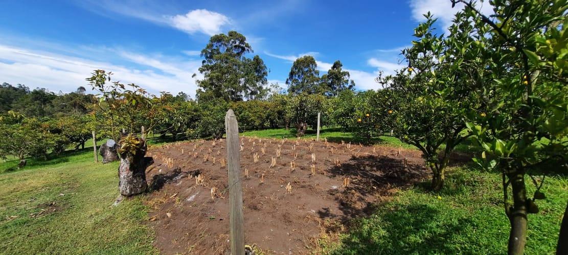 Lote en venta en El Porvenir, El Carmen de Viboral, 30400 m² · foto 24 de 24