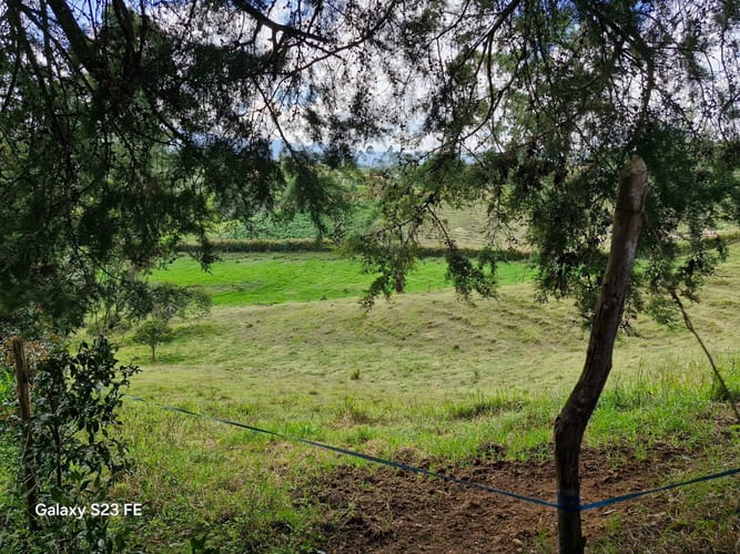 Lote en venta en Las Garzonas, El Carmen de Viboral, 75800 m² · foto 21 de 24
