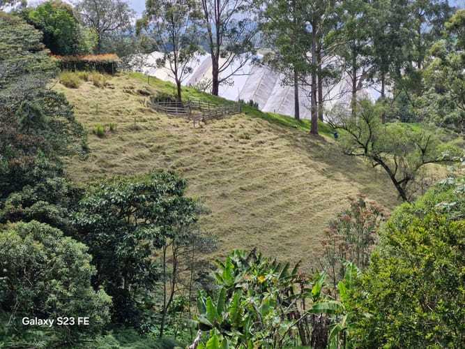 Lote en venta en Las Garzonas, El Carmen de Viboral, 75800 m² · foto 22 de 24