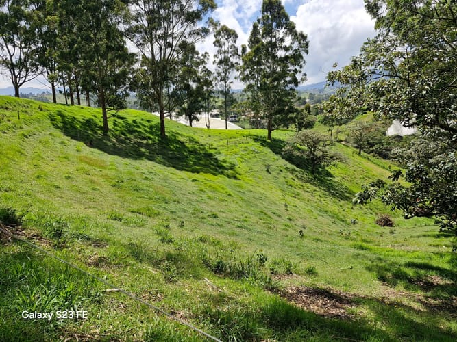 Lote en venta en Las Garzonas, El Carmen de Viboral, 75800 m² · foto 23 de 24