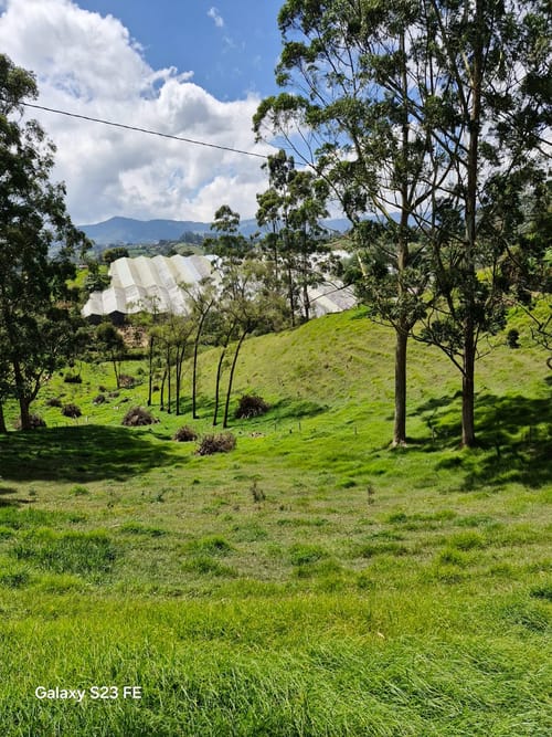 Lote en venta en Las Garzonas, El Carmen de Viboral, 75800 m² · foto 24 de 24
