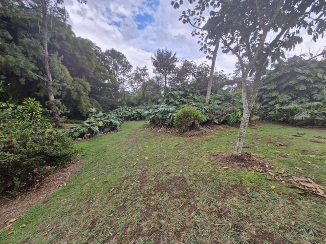 Finca en venta en Llano Grande, Rionegro, 11250 m² · foto 4 de 17