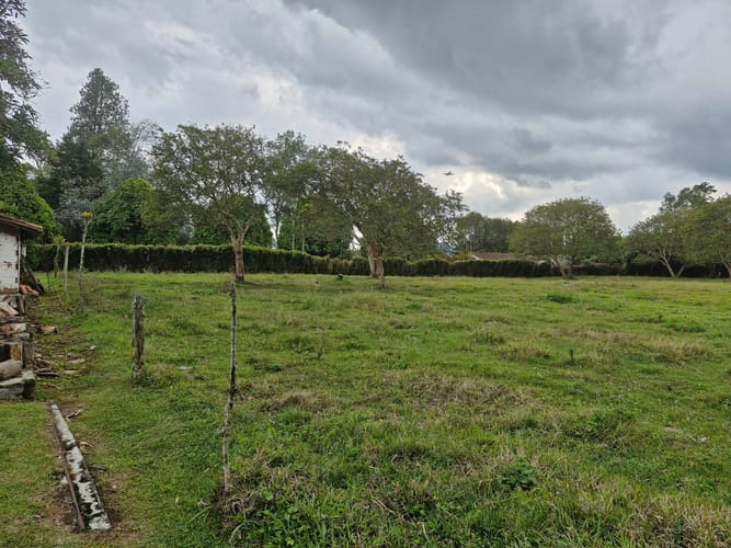 Finca en venta en Llano Grande, Rionegro, 11250 m² · foto 6 de 17