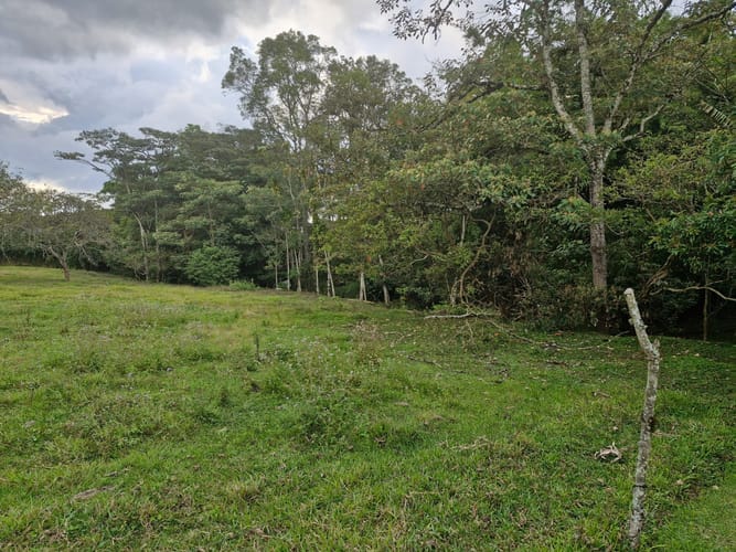 Finca en venta en Llano Grande, Rionegro, 11250 m² · foto 7 de 17