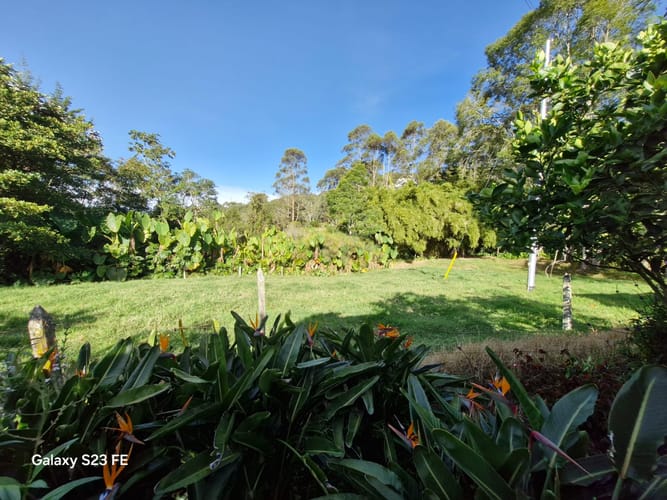 Lote en venta en Cabeceras De Llanogrande, Rionegro, 64379 m² · foto 3 de 24