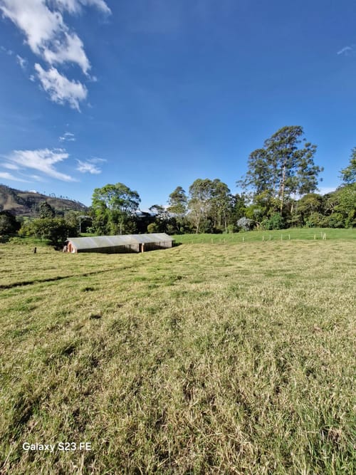 Lote en venta en Cabeceras De Llanogrande, Rionegro, 64379 m² · foto 7 de 24
