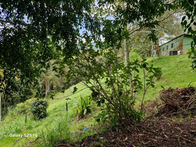 Lote en venta en Los Salados, El Retiro, 10000 m² · foto 5 de 15