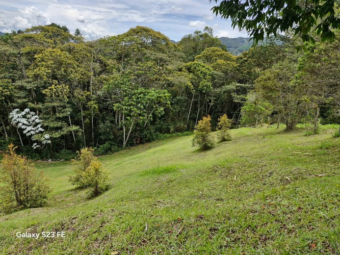 Lote en venta en Los Salados, El Retiro, 10000 m² · foto 7 de 15