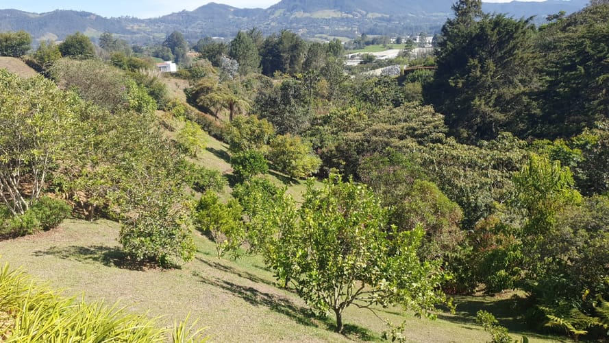 Casa de 3 alcobas en venta en Guamito, La Ceja · foto 17 de 24