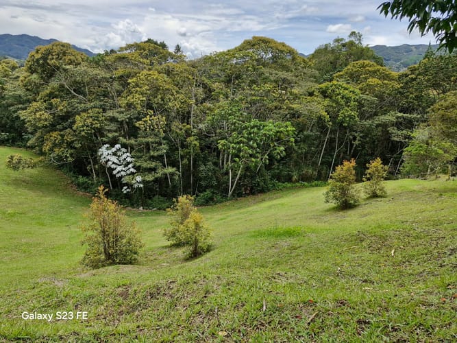 Lote en venta en Los Salados, El Retiro, 10000 m² · foto 9 de 15