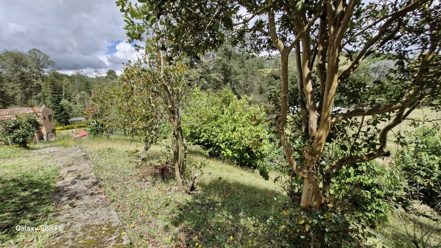 Casa de 4 alcobas en venta en El Chuscal, El Retiro · foto 20 de 24