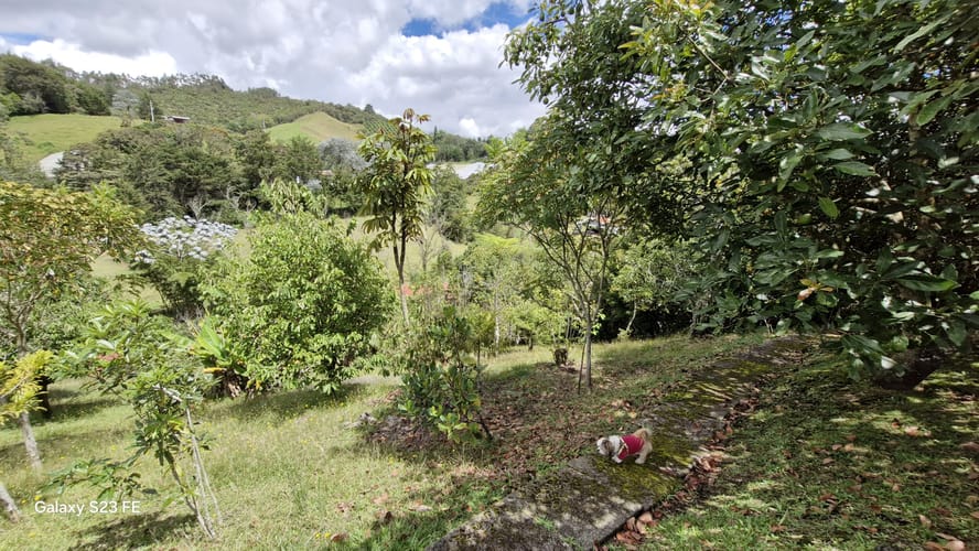 Casa de 4 alcobas en venta en El Chuscal, El Retiro · foto 21 de 24