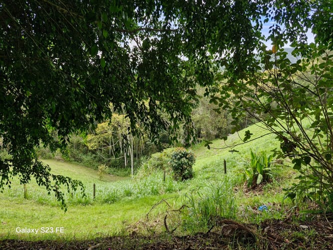 Lote en venta en Los Salados, El Retiro, 10000 m² · foto 13 de 15