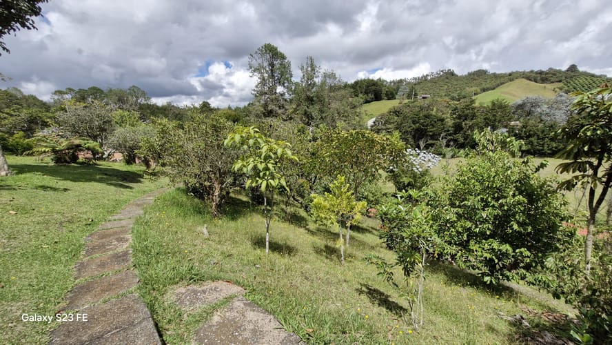 Casa de 4 alcobas en venta en El Chuscal, El Retiro · foto 24 de 24