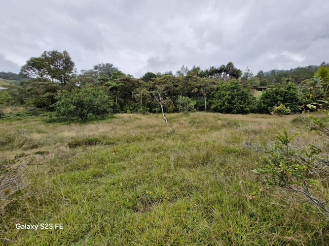Lote en venta en El Chuscal, El Retiro, 9716 m² · foto 2 de 17