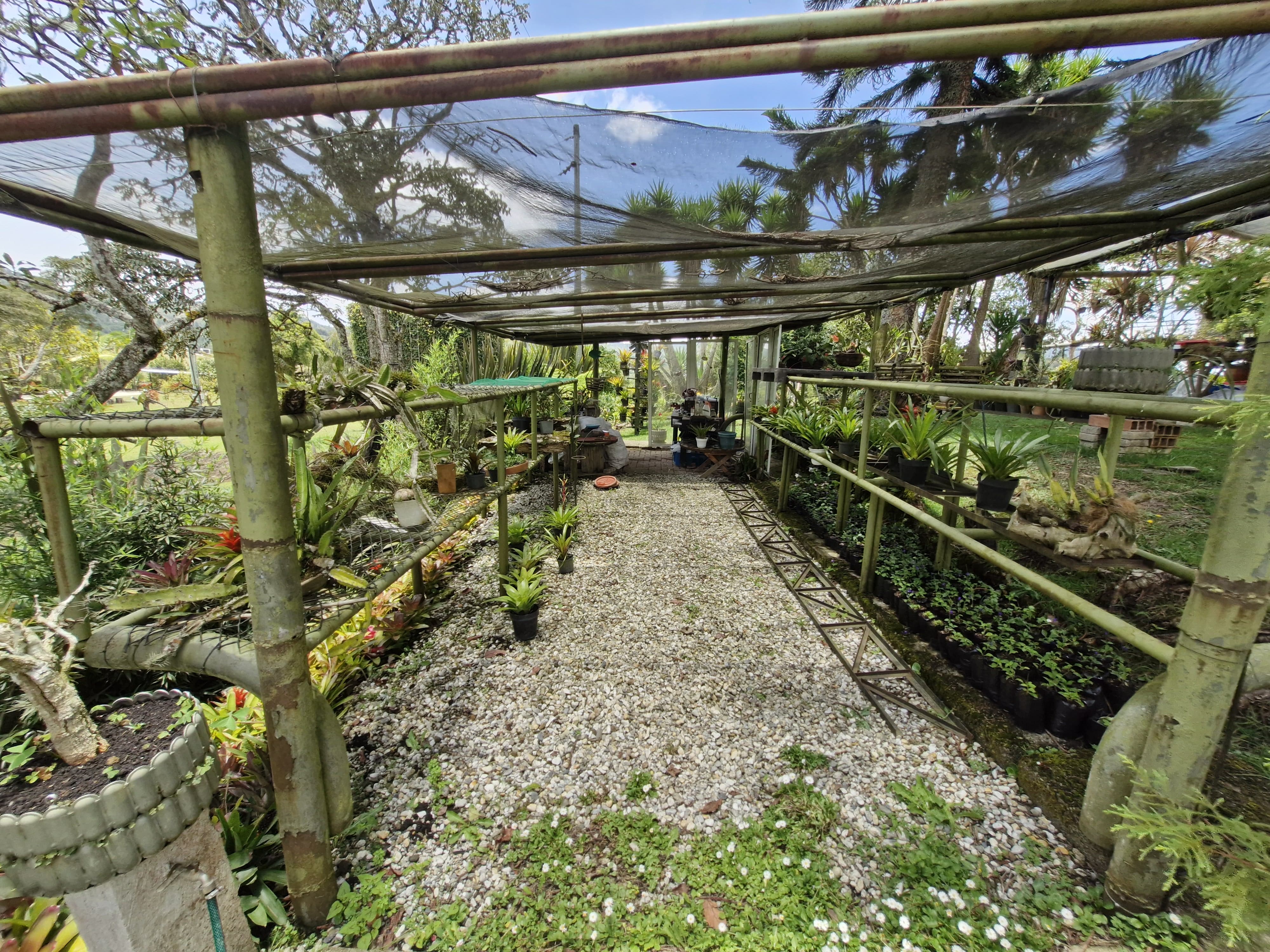 Land in El Portento (2689 m²) for Sale - 2