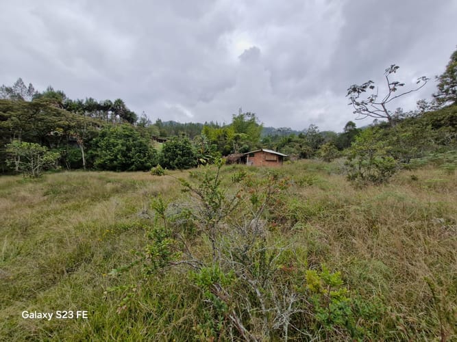 Lote en venta en El Chuscal, El Retiro, 9716 m² · foto 3 de 17