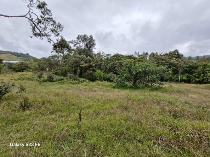 Lote en venta en El Chuscal, El Retiro, 9716 m² · foto 4 de 17