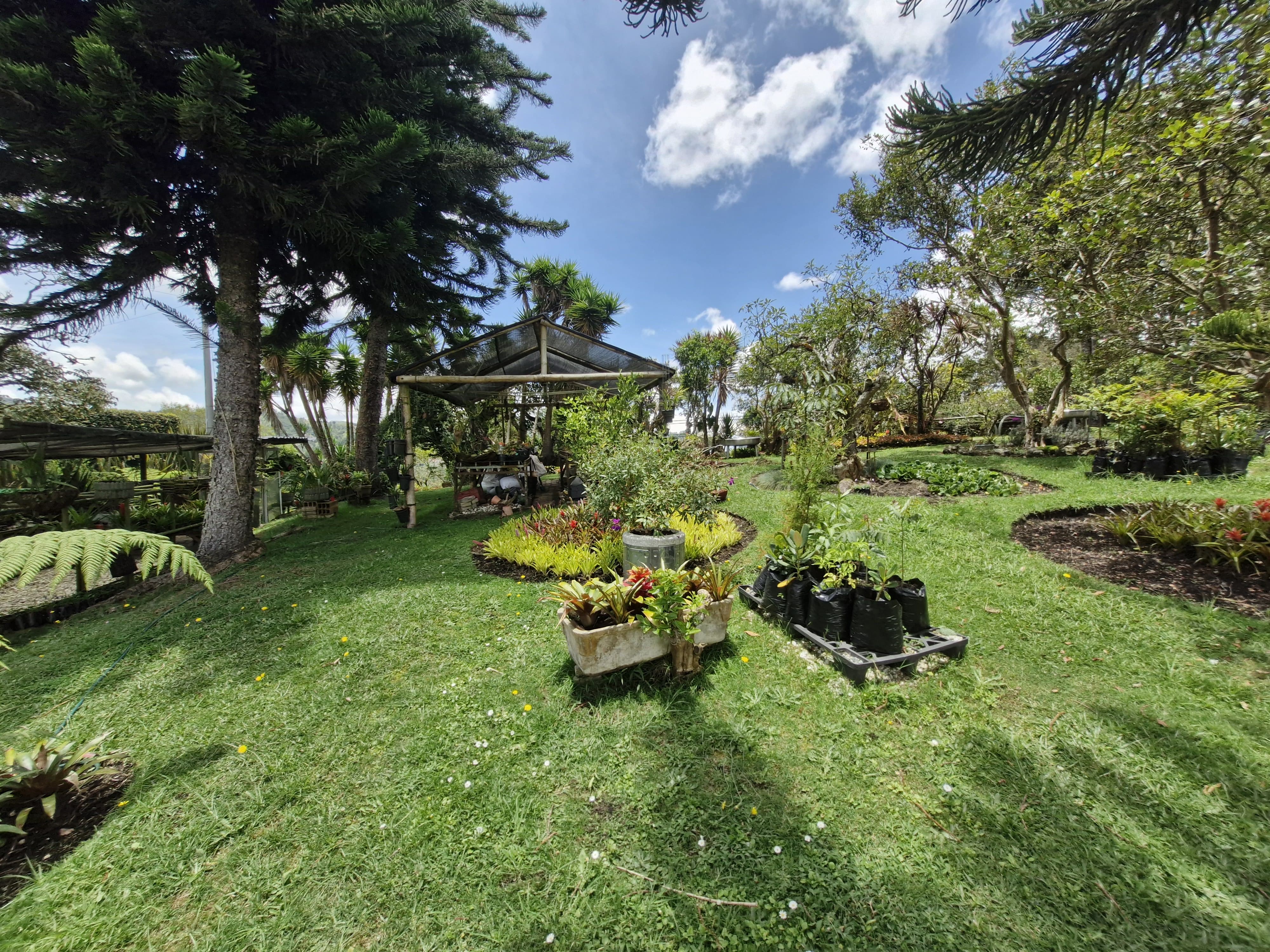 Land in El Portento (2689 m²) for Sale - 4