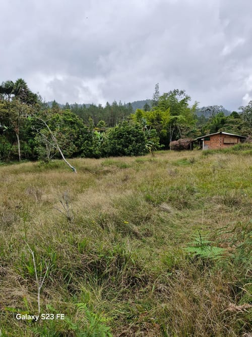 Lote en venta en El Chuscal, El Retiro, 9716 m² · foto 6 de 17