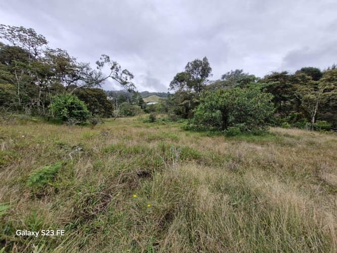 Lote en venta en El Chuscal, El Retiro, 9716 m² · foto 7 de 17