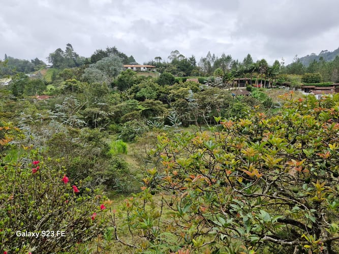 Lote en venta en El Chuscal, El Retiro, 9716 m² · foto 8 de 17