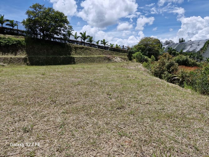 Lote en venta en El Carmen De Viboral, El Carmen de Viboral, 2541 m² · foto 5 de 10