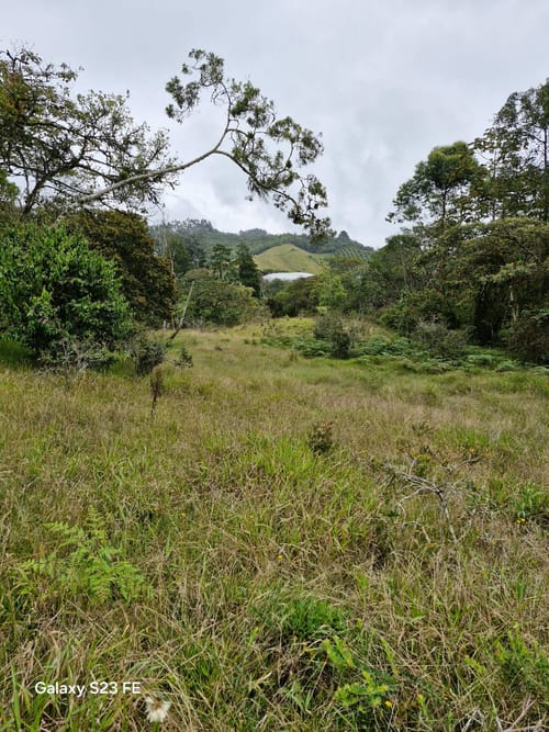 Lote en venta en El Chuscal, El Retiro, 9716 m² · foto 9 de 17