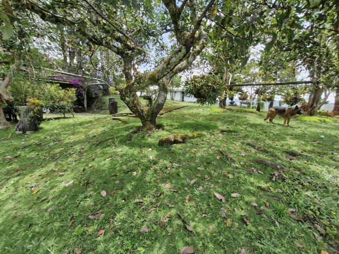 Lote en venta en Pantanillo, El Retiro, 2689 m² · foto 8 de 13