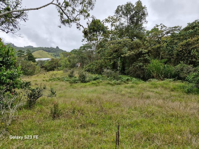 Lote en venta en El Chuscal, El Retiro, 9716 m² · foto 11 de 17