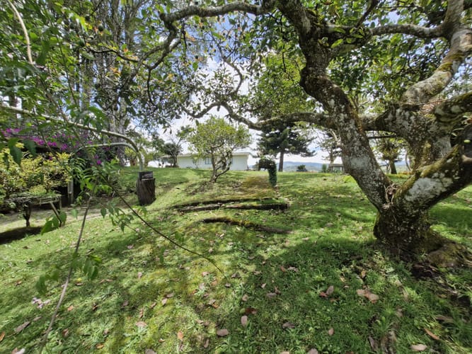 Lote en venta en Pantanillo, El Retiro, 2689 m² · foto 10 de 13