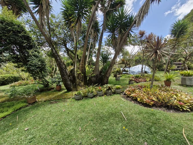 Lote en venta en Pantanillo, El Retiro, 2689 m² · foto 11 de 13