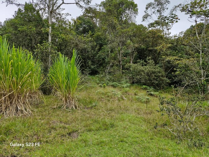 Lote en venta en El Chuscal, El Retiro, 9716 m² · foto 13 de 17