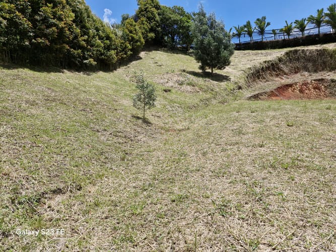 Lote en venta en El Carmen De Viboral, El Carmen de Viboral, 2541 m² · foto 8 de 10