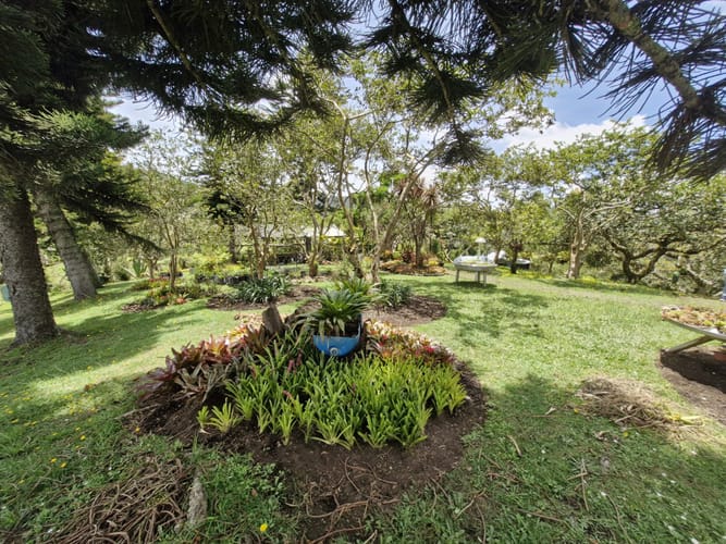 Lote en venta en Pantanillo, El Retiro, 2689 m² · foto 12 de 13