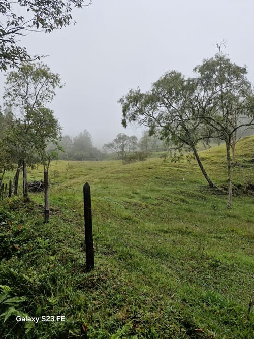 Lote en venta en Playa Rica-Rancheria, Rionegro · foto 2 de 21