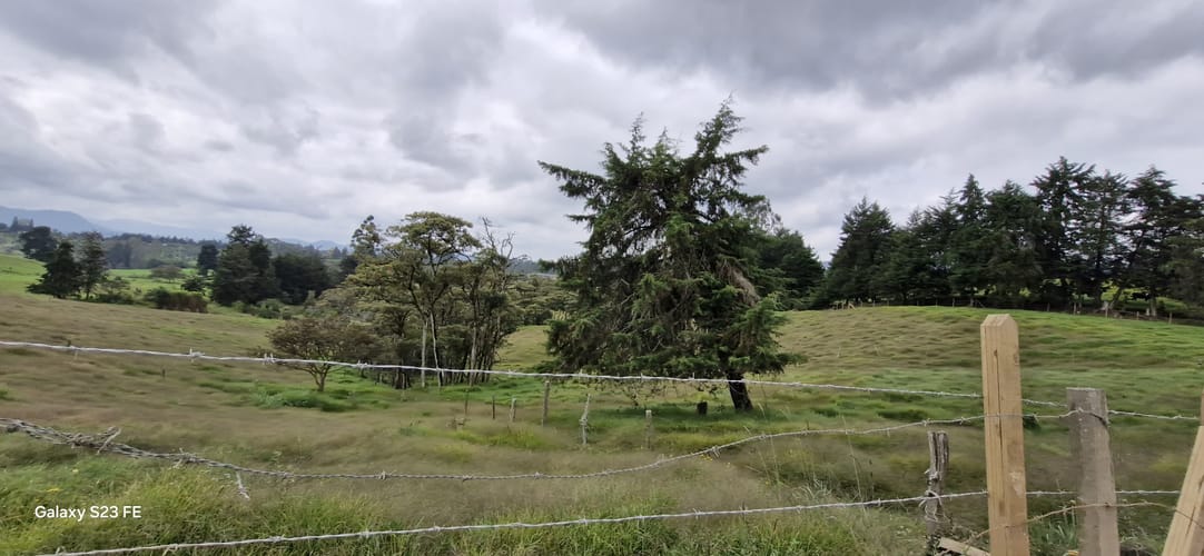 Lote en venta en La Convencion, Rionegro, 25231 m² · foto 2 de 14