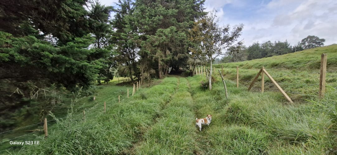Lote en venta en La Convencion, Rionegro, 25231 m² · foto 4 de 14